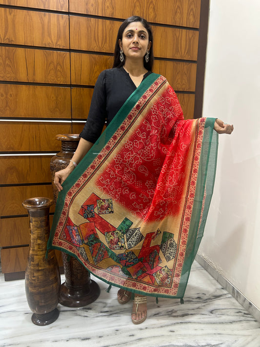 Paheli Dupatta
