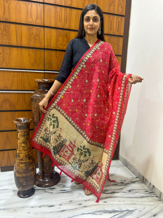 Bandhita Chanderi Dupatta