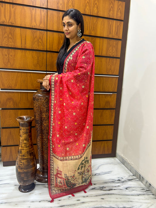 Bandhita Chanderi Dupatta