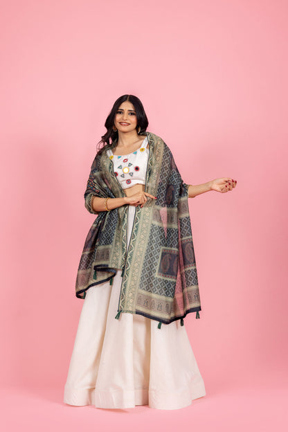 Dhriti Chanderi Dupatta