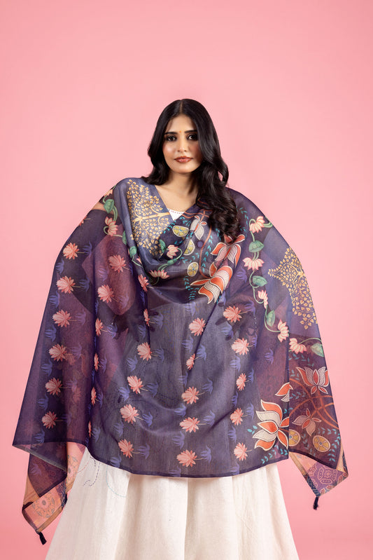 Inaya Chanderi Dupatta